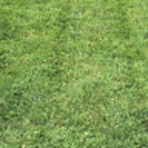 Meet your Posher, Bannar